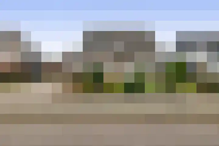 Schoutstraat 18 Waspik thumbnail 4