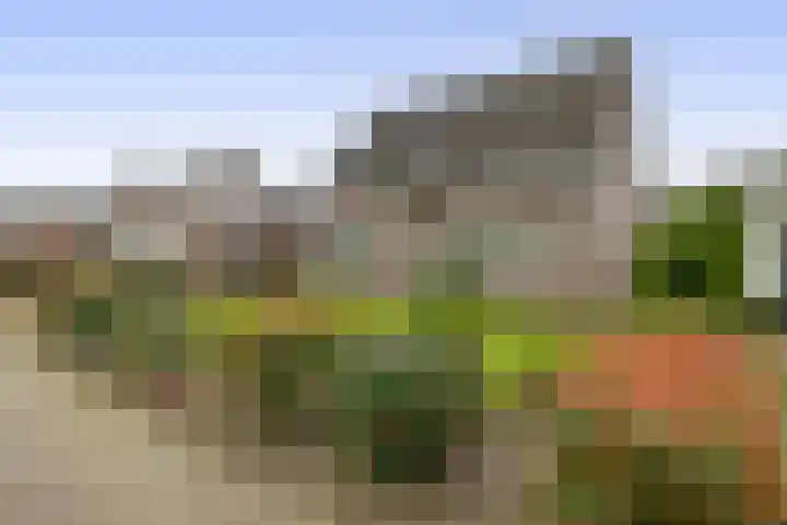 Schoutstraat 18 Waspik thumbnail 5