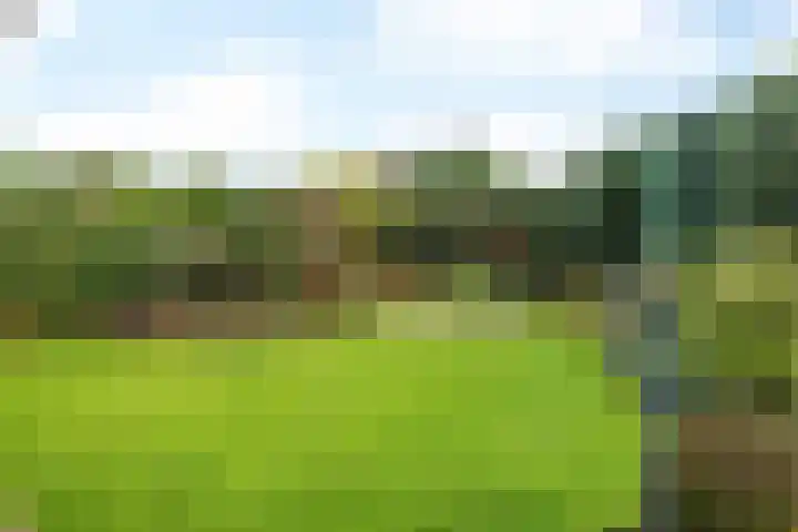 Schoutstraat 2 Klimmen thumbnail 27
