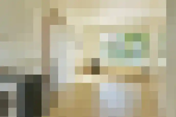 Schoutstraat 26 Ter Aar thumbnail 11