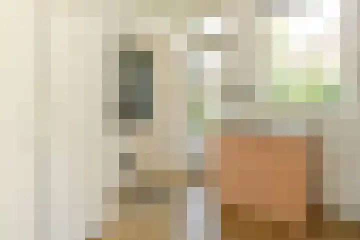 Schoutstraat 26 Ter Aar thumbnail 12