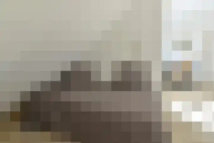 Schoutstraat 26 Ter Aar thumbnail 24