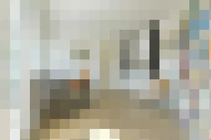 Schoutstraat 26 Ter Aar thumbnail 25