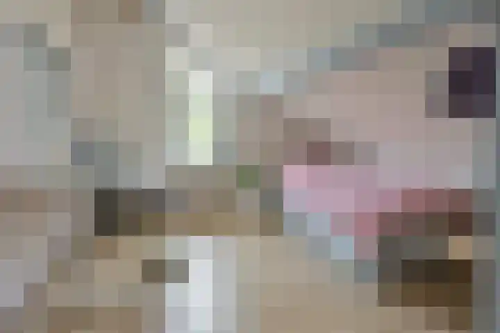 Schoutstraat 26 Ter Aar thumbnail 29