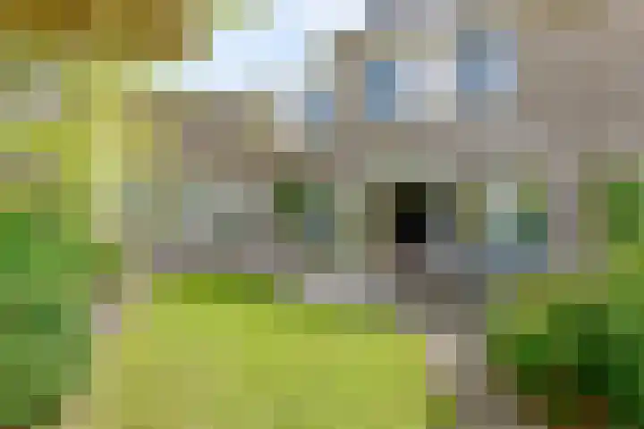 Schoutstraat 26 Ter Aar thumbnail 32