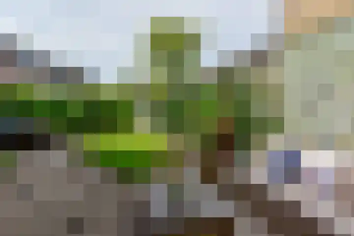Schoutstraat 26 Ter Aar thumbnail 33
