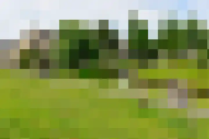 Schoutstraat 26 Ter Aar thumbnail 40