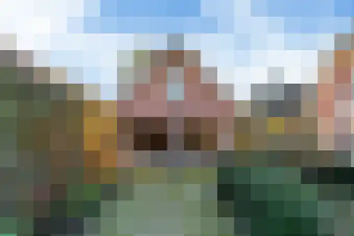 Schoutstraat 36 Woudenberg thumbnail 39
