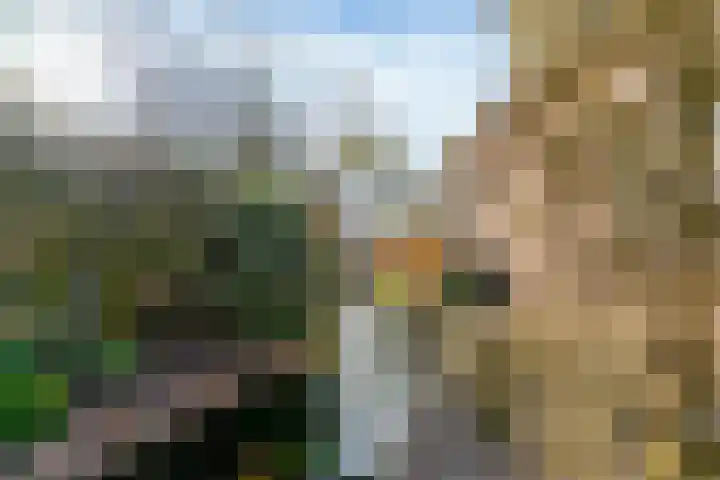 Schoutstraat 36 Woudenberg thumbnail 44