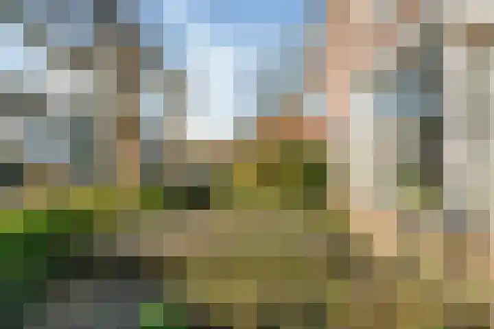 Schoutstraat 36 Woudenberg thumbnail 53