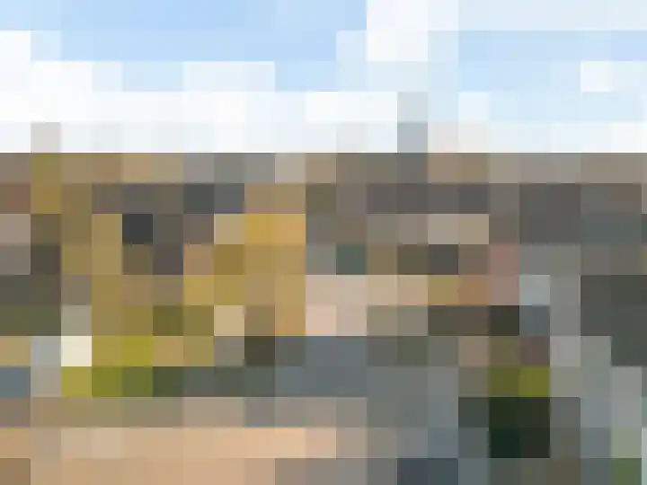 Schoutstraat 36 Woudenberg thumbnail 6