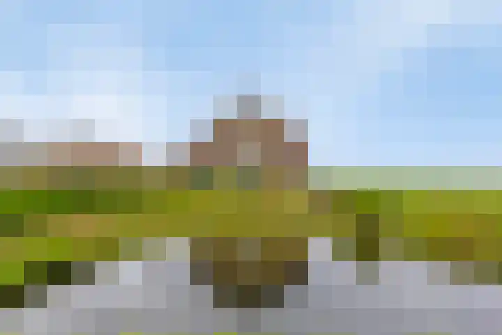 Schoutsweg 2 Zuidland