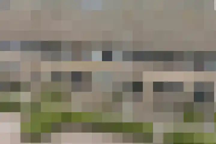 Schouw 18 Lemmer thumbnail 37