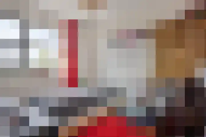 Schouw 21 Meppel thumbnail 13