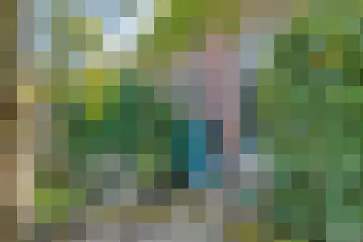 Schouw 21 Meppel thumbnail 20