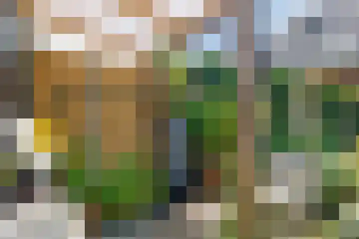 Schouw 21 Meppel thumbnail 21