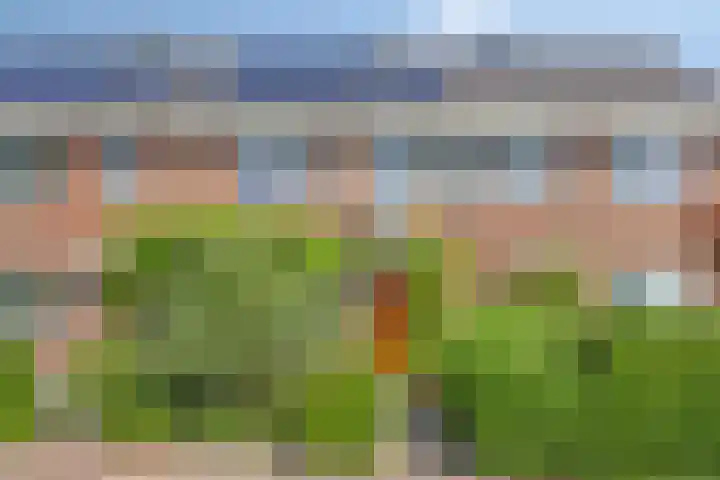 Schouw 21 Meppel thumbnail 33