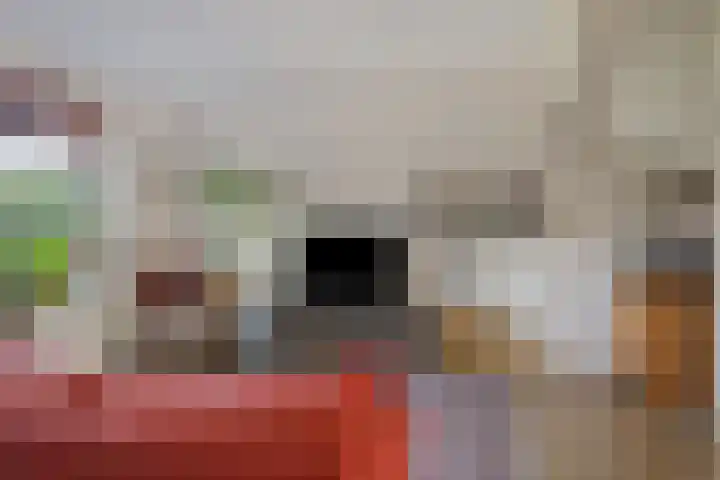 Schouw 21 Meppel thumbnail 4