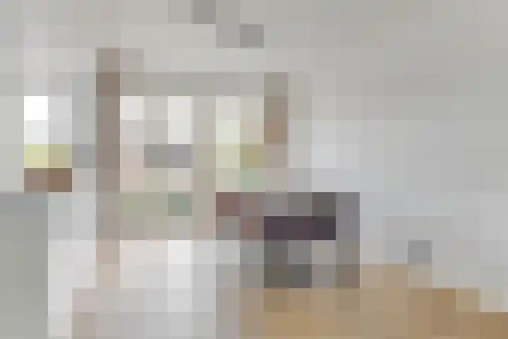 Schouw 23 Wieringerwerf thumbnail 13
