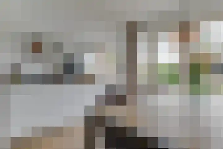 Schouw 23 Wieringerwerf thumbnail 14