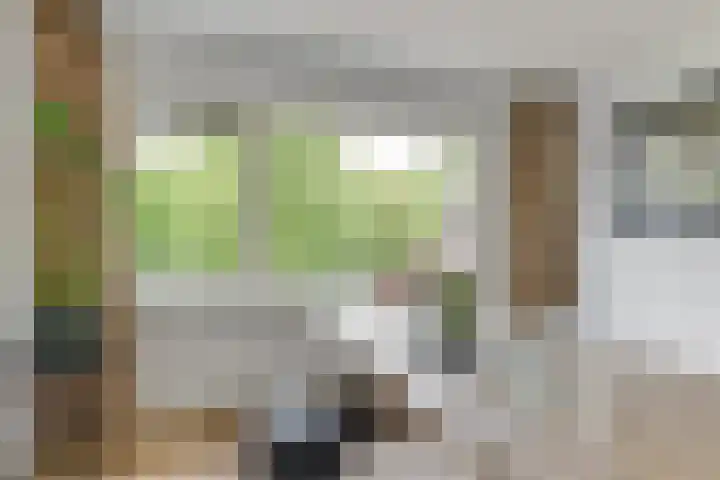 Schouw 23 Wieringerwerf thumbnail 22