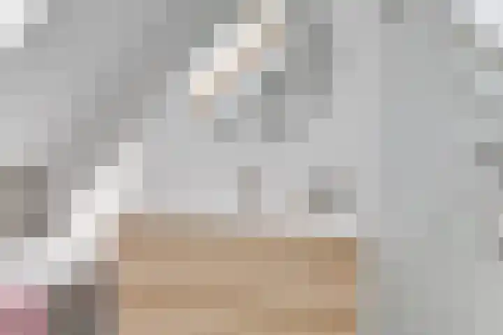 Schouw 23 Wieringerwerf thumbnail 24