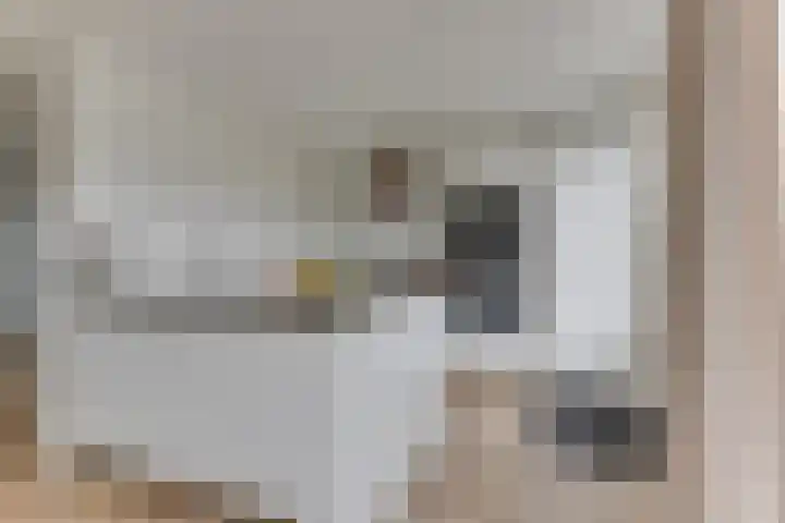 Schouw 23 Wieringerwerf foto 3