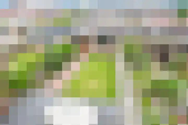 Schouw 23 Wieringerwerf thumbnail 34