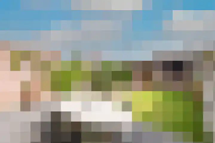 Schouw 23 Wieringerwerf thumbnail 36