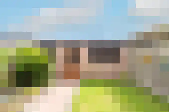 Schouw 23 Wieringerwerf thumbnail 37
