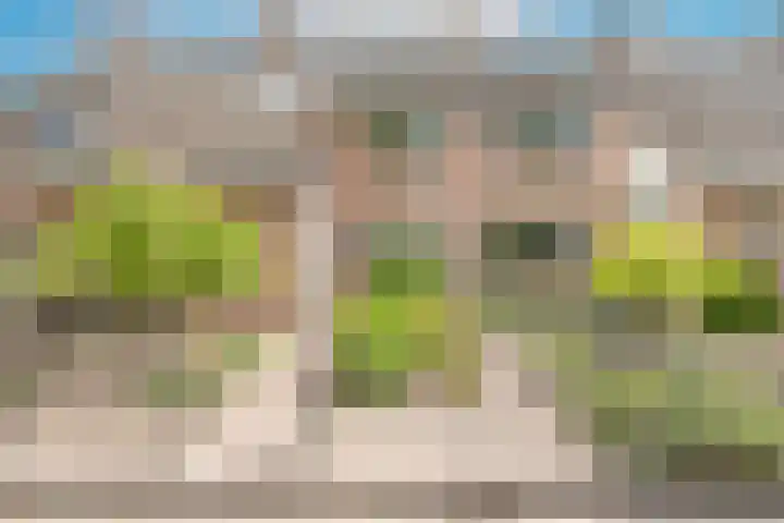 Schouw 23 Wieringerwerf thumbnail 41