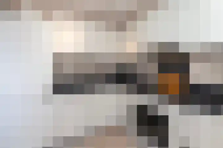 Schouw 4 Hardinxveld-Giessendam thumbnail 10