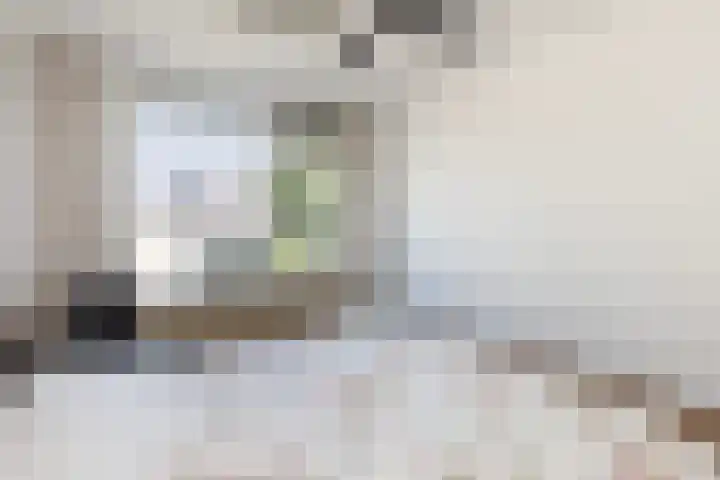 Schouw 4 Hardinxveld-Giessendam thumbnail 15