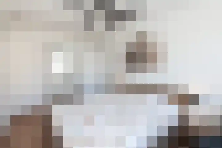 Schouw 4 Hardinxveld-Giessendam thumbnail 17