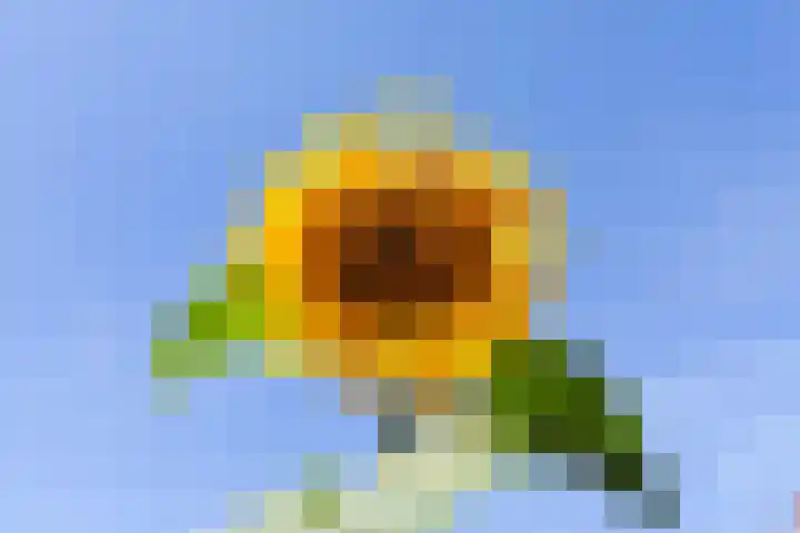 Schouw 4 Hardinxveld-Giessendam thumbnail 34