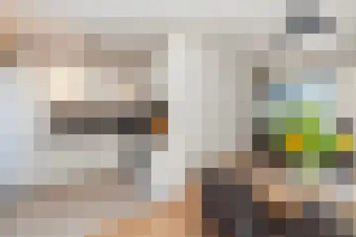 Schouw 4 Hardinxveld-Giessendam thumbnail 4