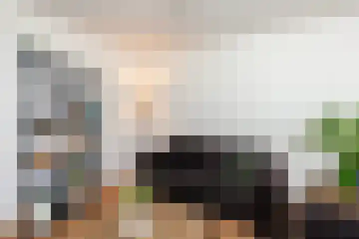Schouw 4 Hardinxveld-Giessendam thumbnail 6