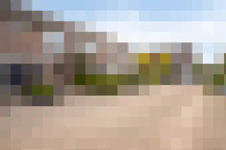 Schouw 7 Woerden thumbnail 19