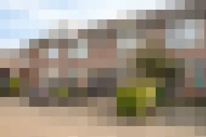 Schouw 7 Woerden thumbnail 21
