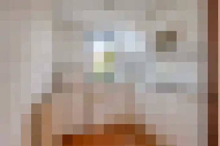 Schouw 7 Woerden thumbnail 4