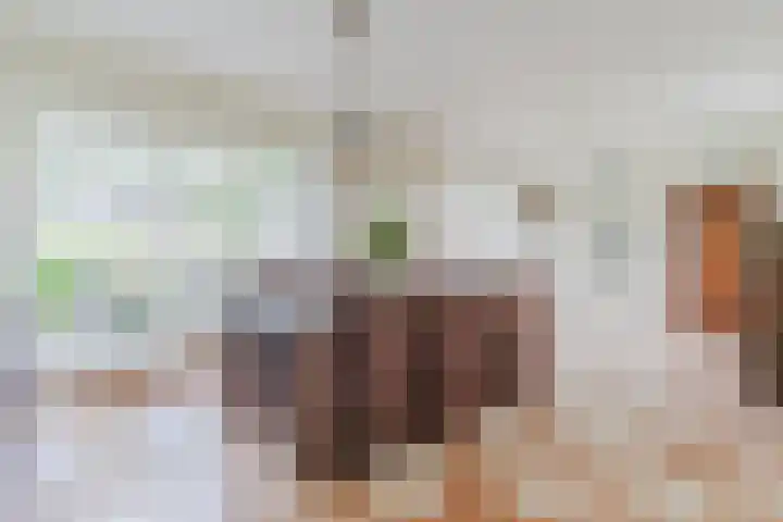 Schouwberg 2 Hapert thumbnail 10