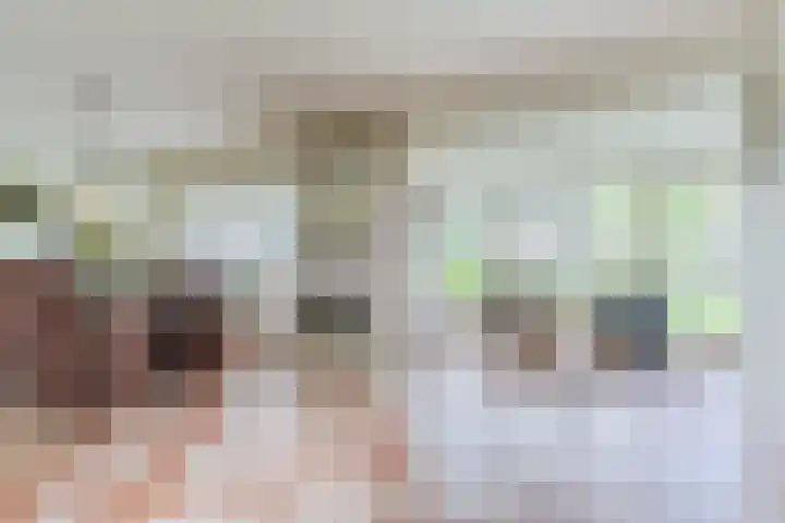 Schouwberg 2 Hapert thumbnail 12