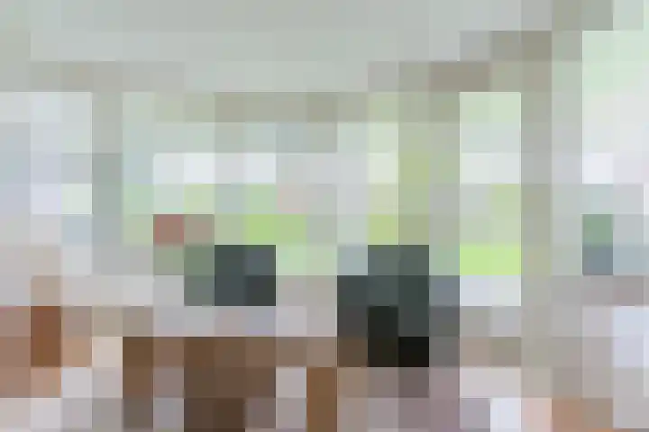 Schouwberg 2 Hapert thumbnail 13