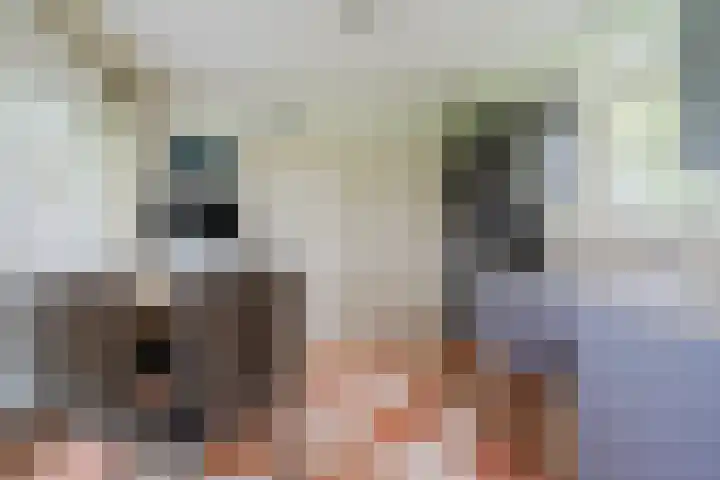 Schouwberg 2 Hapert thumbnail 15
