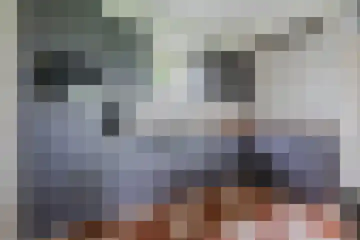 Schouwberg 2 Hapert thumbnail 17