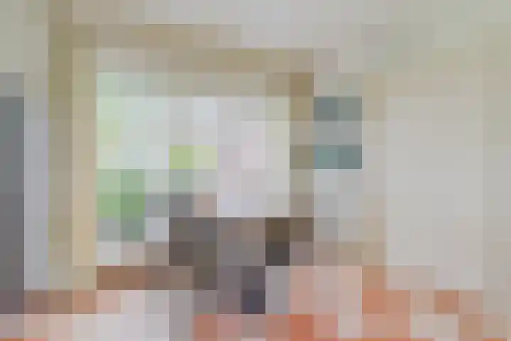 Schouwberg 2 Hapert thumbnail 18