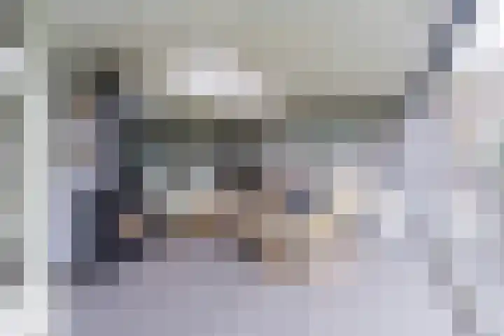 Schouwberg 2 Hapert foto 2