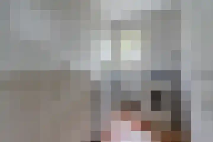 Schouwberg 2 Hapert thumbnail 21