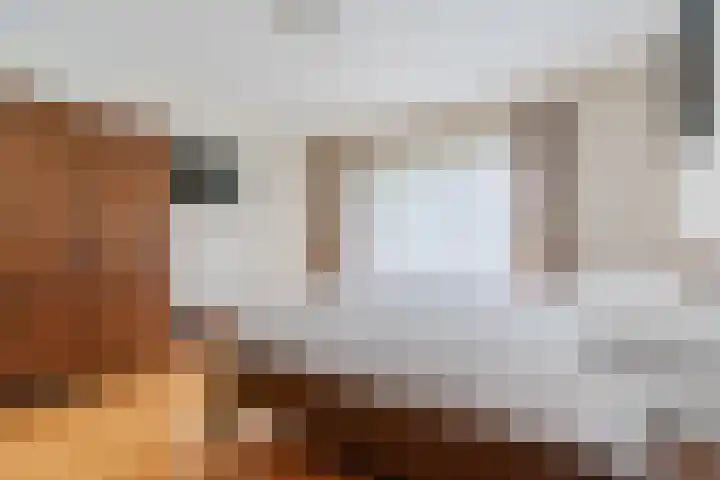 Schouwberg 2 Hapert thumbnail 23
