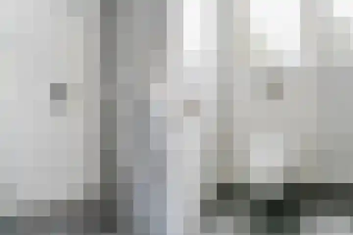 Schouwberg 2 Hapert thumbnail 26